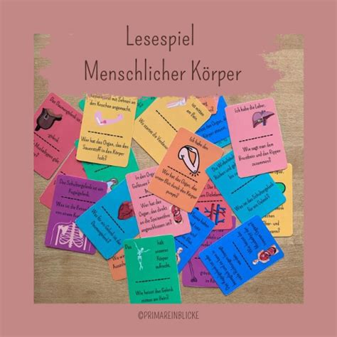 Lesespiel Menschlicher K Rper Primareinblicke