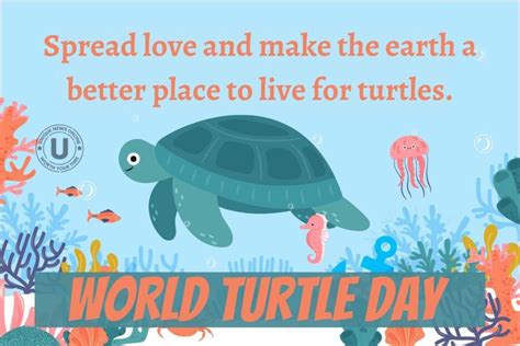 World Turtle Day 2022 Best Quotes Posters Images And Messages To Help People Celebrate And