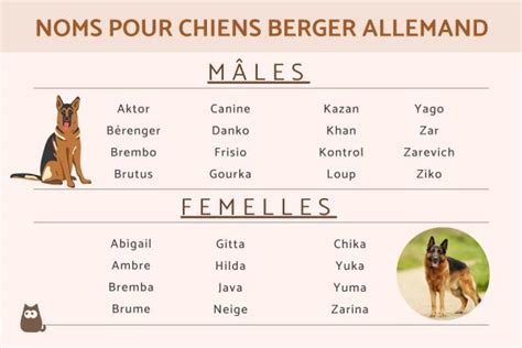 Noms Pour Chiens Berger Allemand