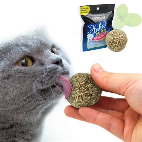 Cat Natural Catnip Toys Menthol Flavor Kitten Treat Ball Cats Playing