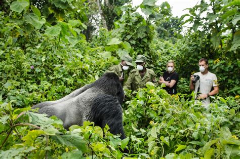 Virunga National Park