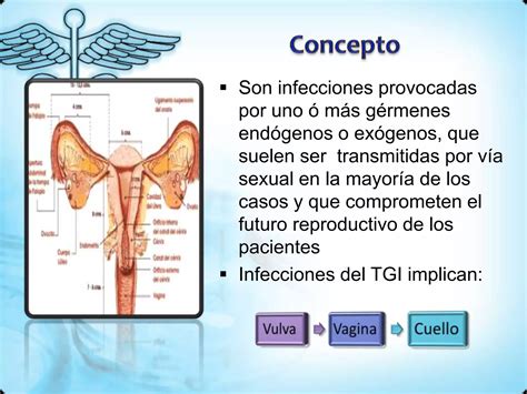 Infecciones Del Tracto Genital Inferior Ppt