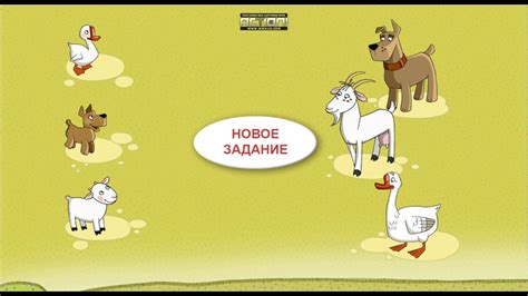 Мамы и детёныши !!! - YouTube