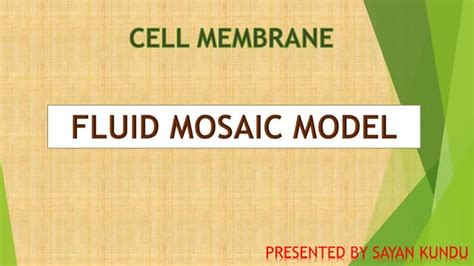 FLUID MOSAIC MODEL.pdf