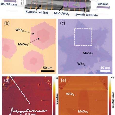 One‐pot Cvd Growth Of Mose2‐wse2 Lateral Heterostructures A Schematic