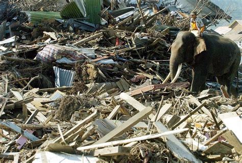 TÉMOIGNAGE On ne peut pas oublier 20 ans après il se souvient