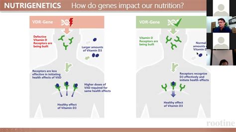 Understanding The Vdr Gene And Vitamin D Youtube