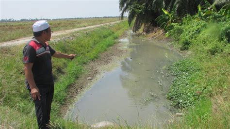 Siasat Masalah Pencemaran Di Kuala Kurau Jejas Pendapatan Nelayan