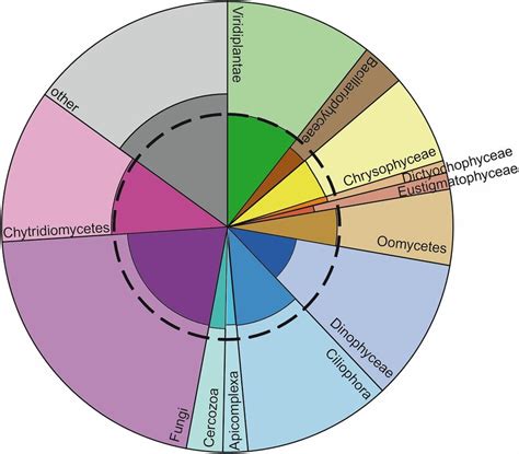 Relative Read Abundance Of Different Taxonomic Groups And Fraction Of