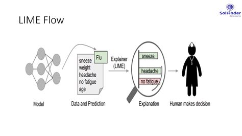 Locally Interpretable Model Agnostic Explanations Youtube