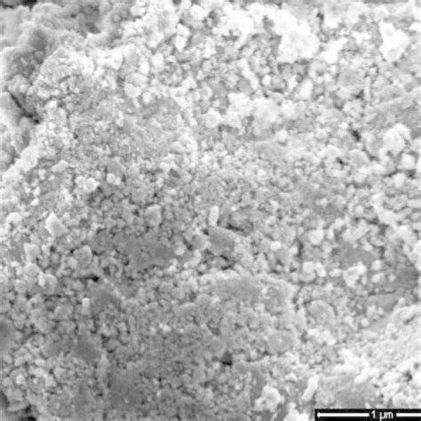 Sem Micrograph Of Tio2 P25 Degussa Download Scientific Diagram