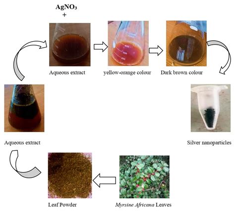 Molecules Free Full Text Green Synthesis And Characterization Of