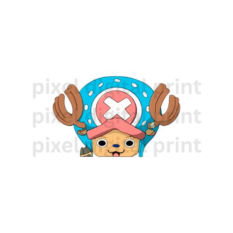 One Piece Peeker Laminated High Quality Vinyl Sticker For Aquaflask