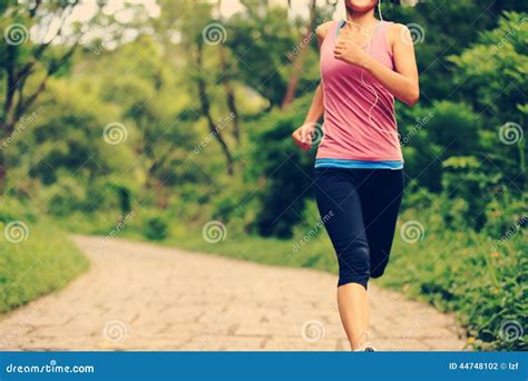 Woman Runner Running At Forest Trail Stock Photo | CartoonDealer.com ...