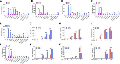 Vimentin Inhibits Type I Interferon Production By Disrupting The Tbk1