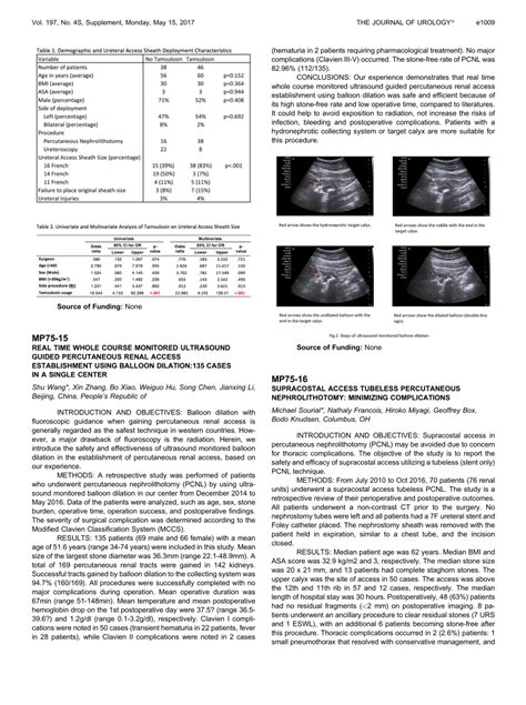 Pdf Mp75 15 Real Time Whole Course Monitored Ultrasound Guided