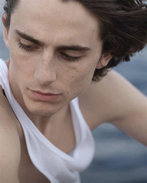 Timothée Chalamet R Ladyboners