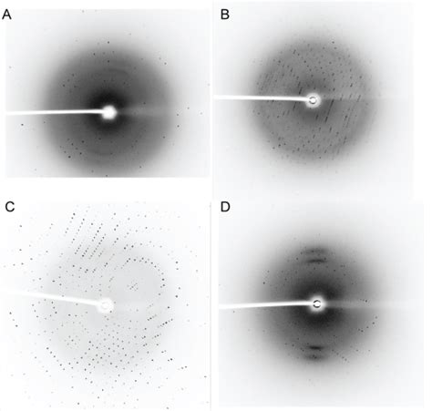 Protein Crystallography And X Ray Diffraction Facility Biomedical And