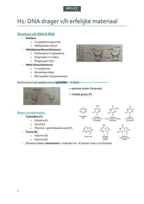 Moleculaire Biologie Kan Nuttig Zijn H1 DNA Drager V H Erfelijke