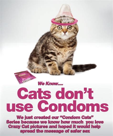 Cat Condom Fun And Funny Pinterest Spotlight Cats And We