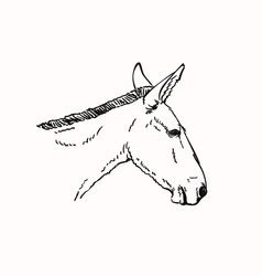 Mule Head Vector Images (over 960)