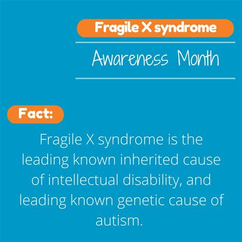 What Is Fragile X Syndrome Fxs Parenting Special Needs Magazine