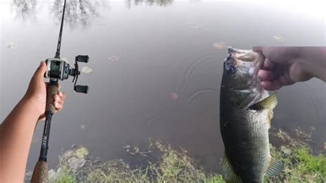 Golf Course Pond HOPPING Right Before A THUNDERSTORM YouTube