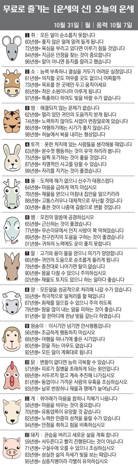 직장인을 위한 오늘의 운세 2022년 10월 31일 월요일 오늘의 띠별 운세 음력 10월 7일 네이트 뉴스