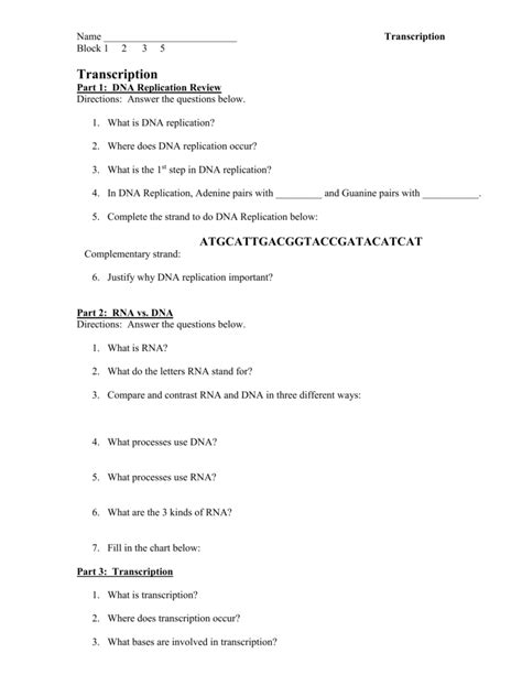 Dna Replication Transcription And Translation Worksheets