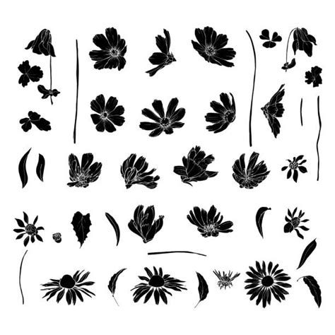 50 Coneflower Silhouette Stock Illustrations Royalty Free Vector Graphics And Clip Art Istock