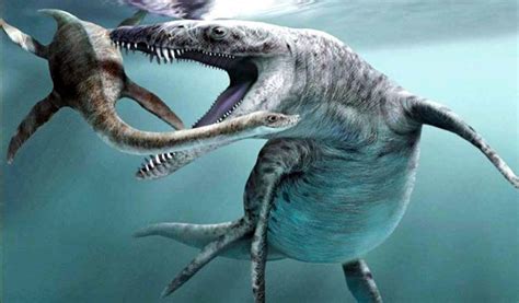 Dinosaurio En Marruecos Descubren Fósil Nueva Especie Reptil Marino