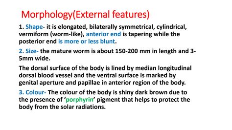 Solution Morphology And Digestive System Of Earthworm Studypool