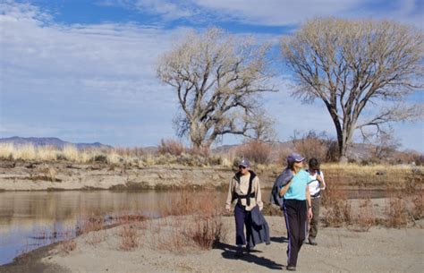 Carson River Grasslands Sage Dominate Easy Hike Lake Tahoe Newslake