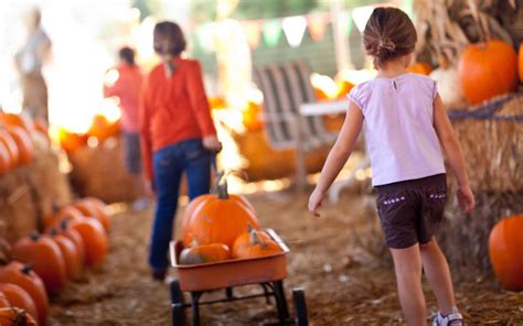 Pumpkins Patch In Italia Tra Le Zucche Di Halloween Sottocoperta Net