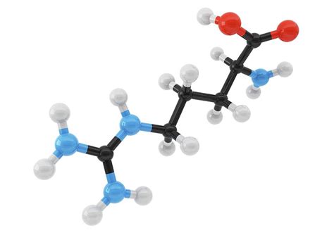 Arginine Amino Acid Molecule By Maurizio De Angelis Science Photo Library