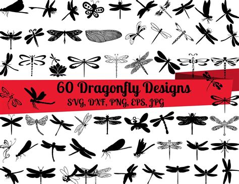 60 Dragonfly Svg Bundle Dragonfly Dxf Dragonfly Png Etsy Dragonfly