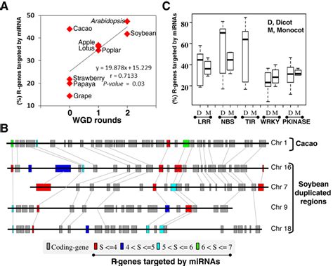 R Genesmirnas Interactome In Plants A Illustration Of The