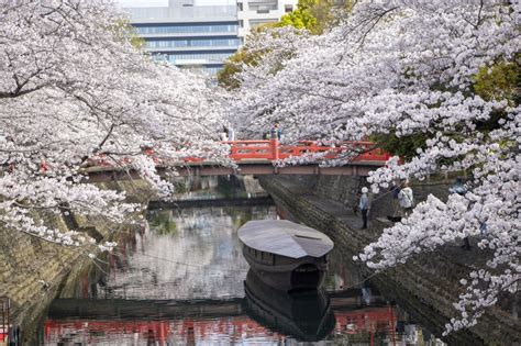 【難読地名】「地元民しか読めないと思う岐阜県の市町村名」ランキングtop16！ 第1位は「加茂郡坂祝町」【2024年最新投票結果】（15