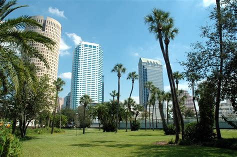 Tampa Neighborhood Guide: Where to Live in 2024 | Redfin