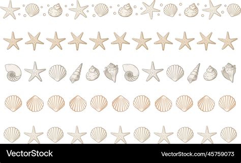 Seashells Border Divider Set Sea And Ocean Design Vector Image