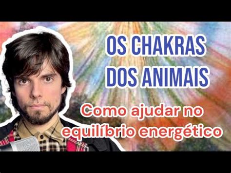 Os Principais Chakras Em C Es E Gatos Youtube