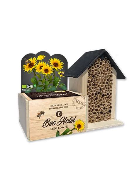 Mini Sonnenblumen Bienenhotel Grow Eat Shop