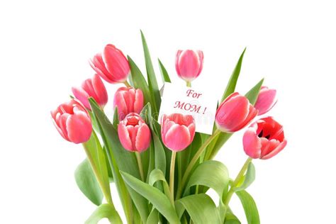 Tulips mother s day stock image. Image of heart, macro - 8718567