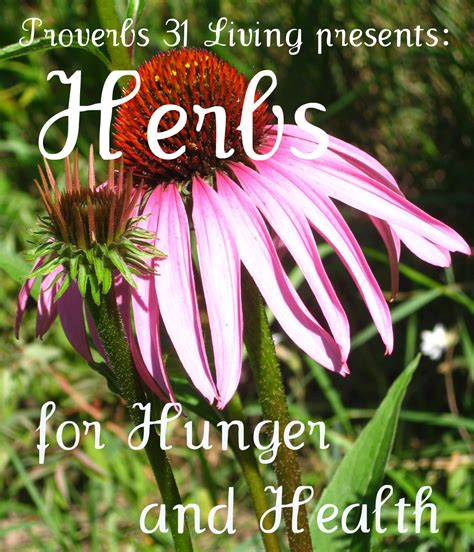 Proverbs 31 Living Parsley Herbs For Health And Hunger