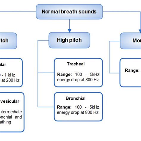 Characteristics Of Normal Breath Sounds Download Scientific Diagram