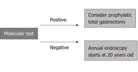 Clinical Management Of Hereditary Diffuse Gastric Cancer Syndrome Download Scientific Diagram