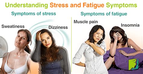 Understanding Stress And Fatigue Symptoms