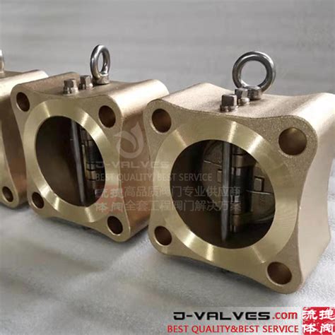 Api Standard Bronze C Lb Wafer Type Double Disc Check Valve