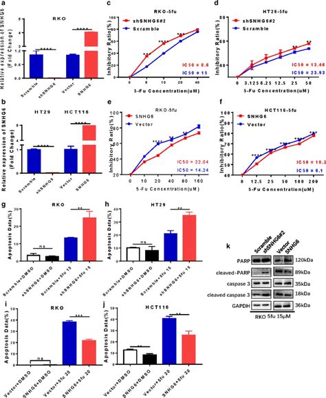 Lncrna Snhg Promotes Chemoresistance Through Ulk Induced Autophagy By