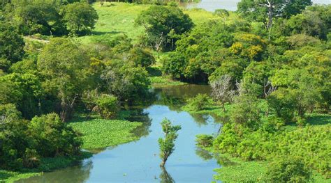 ℹ Razones por las que debemos proteger las reservas naturales en España